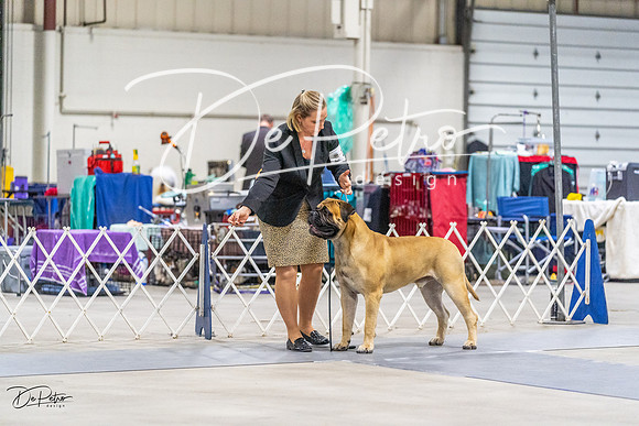 20230304-DSC01040