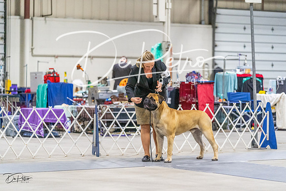 20230304-DSC01044