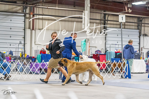20230304-DSC01054