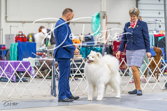 20230304-DSC01060