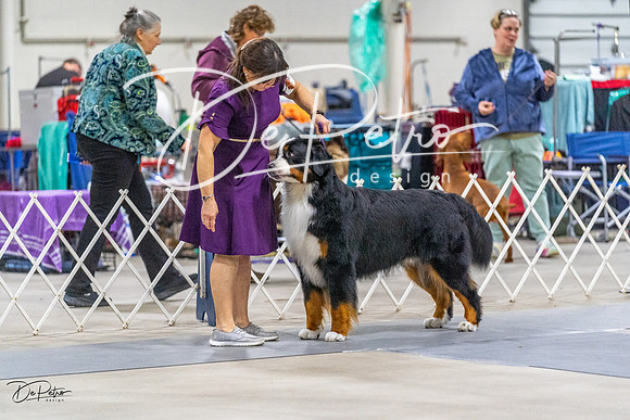20230304-DSC01076