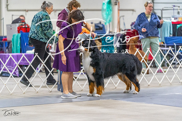 20230304-DSC01077