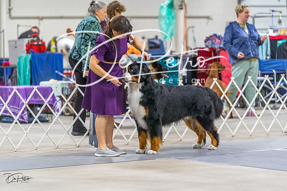 20230304-DSC01078