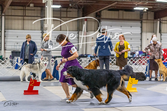 20230304-DSC01082