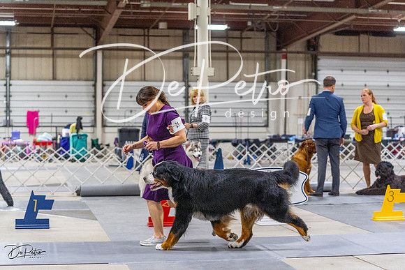 20230304-DSC01085