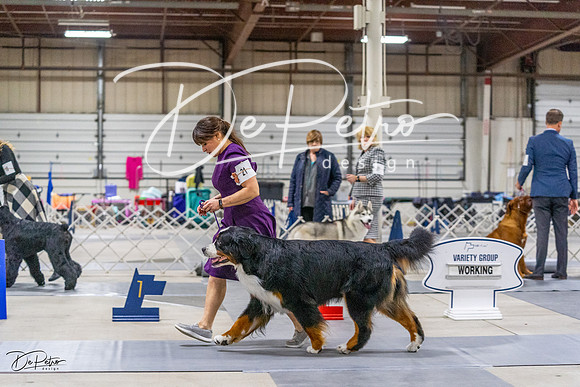 20230304-DSC01087
