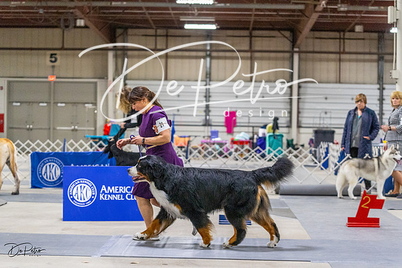 20230304-DSC01092