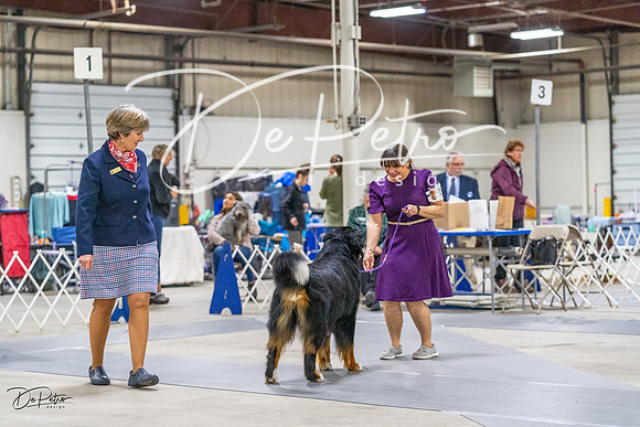 20230304-DSC01100