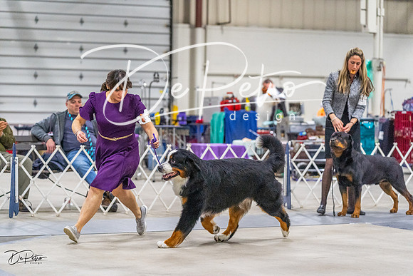 20230304-DSC01104