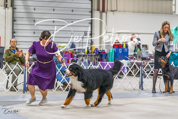 20230304-DSC01106