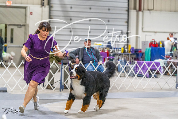 20230304-DSC01110
