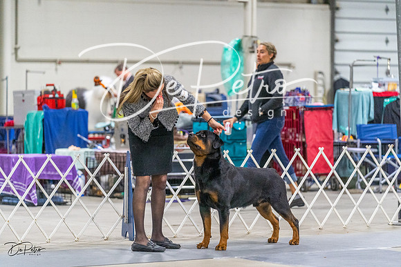 20230304-DSC01114