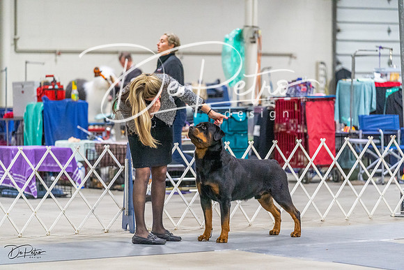 20230304-DSC01116