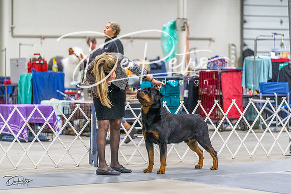 20230304-DSC01117
