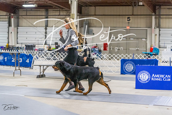 20230304-DSC01138