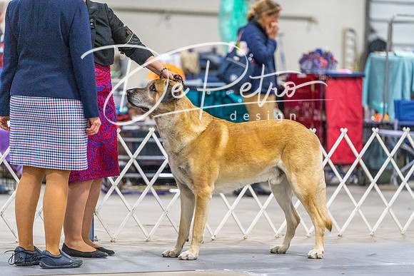 20230304-DSC01191