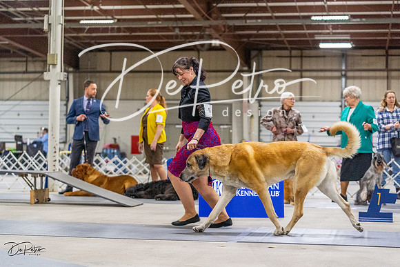20230304-DSC01199