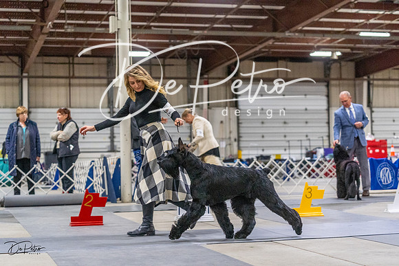 20230304-DSC01242