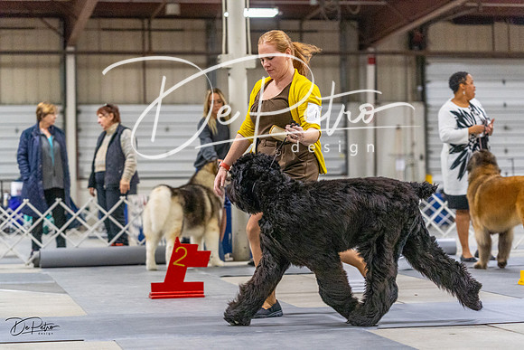 20230304-DSC01293