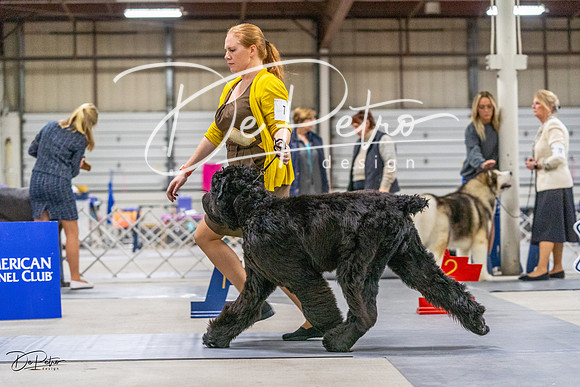 20230304-DSC01298