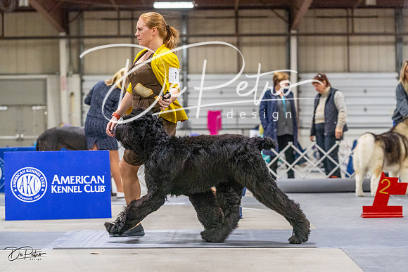 20230304-DSC01300