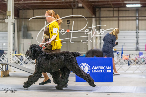 20230304-DSC01305