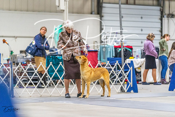 20230304-DSC01308