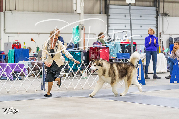 20230304-DSC01394