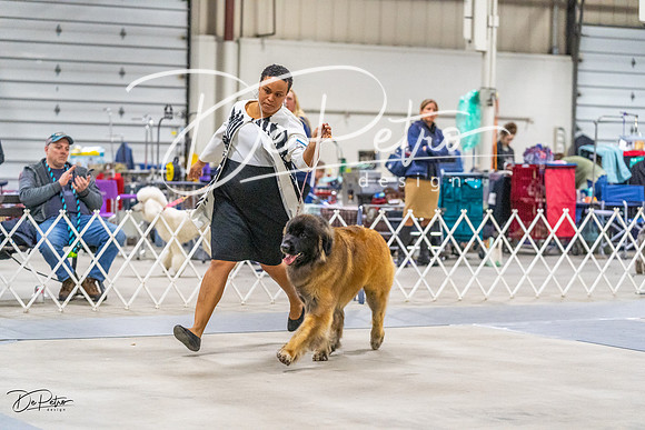 20230304-DSC01417