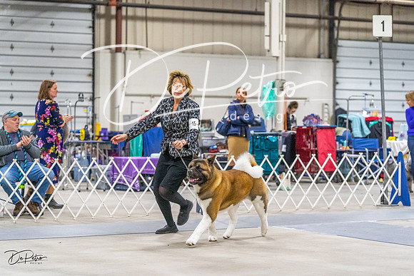 20230304-DSC01427