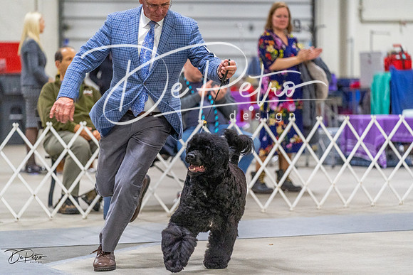 20230304-DSC01441
