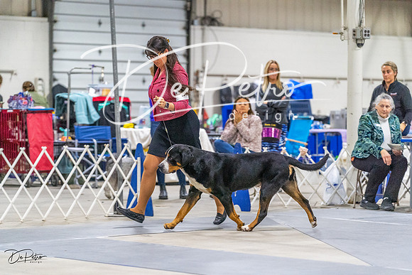20230304-DSC01442