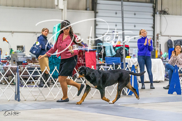 20230304-DSC01447