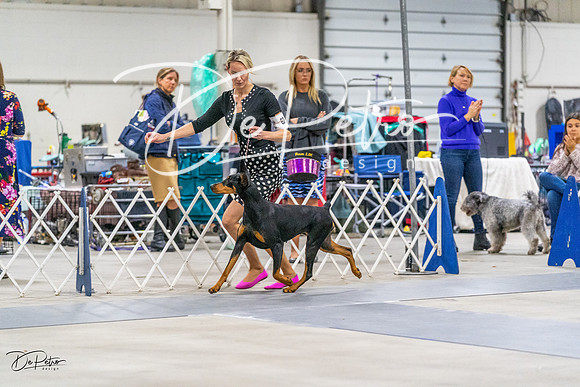 20230304-DSC01472