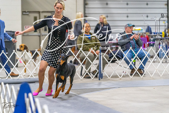 20230304-DSC01484