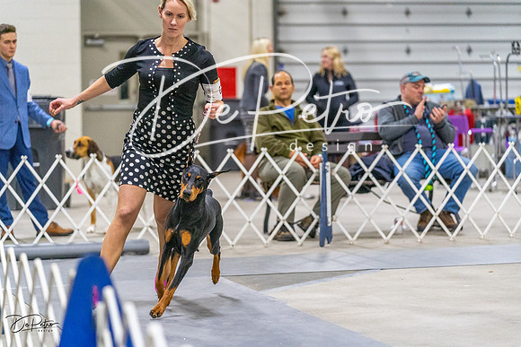 20230304-DSC01485