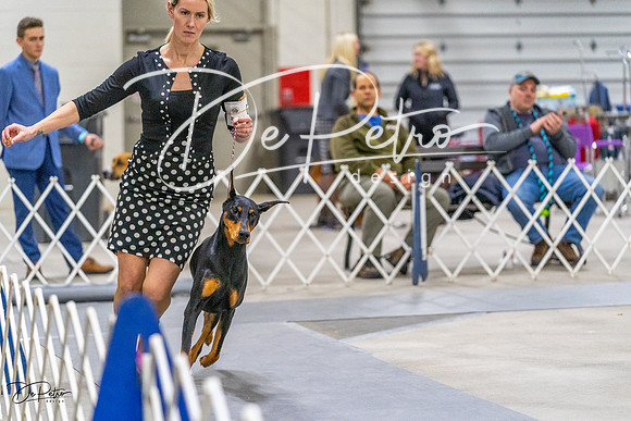 20230304-DSC01487