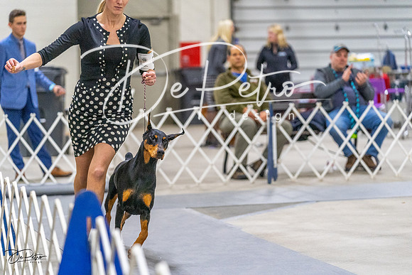20230304-DSC01488