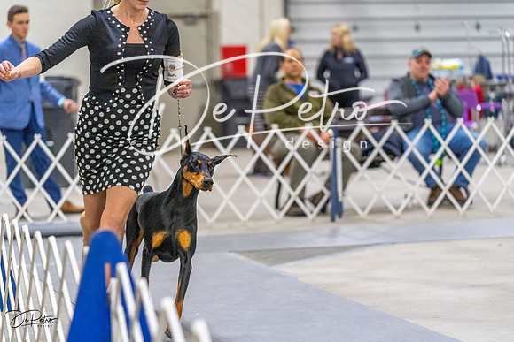 20230304-DSC01489