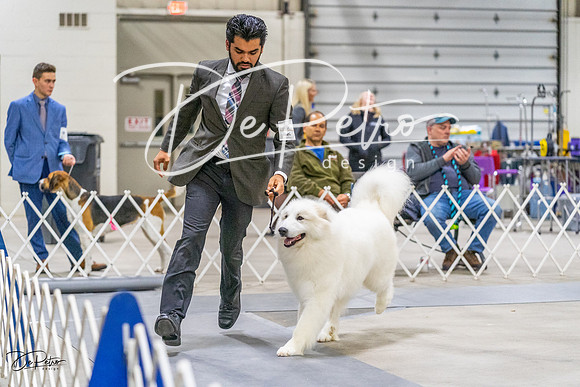 20230304-DSC01494