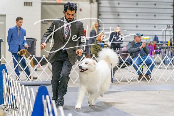 20230304-DSC01496