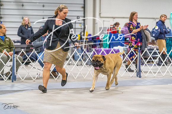 20230304-DSC01503