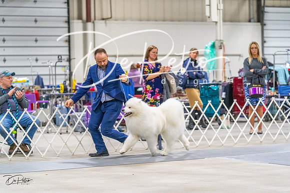 20230304-DSC01519