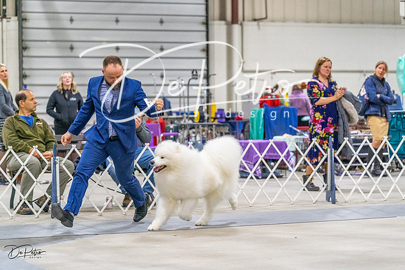 20230304-DSC01524