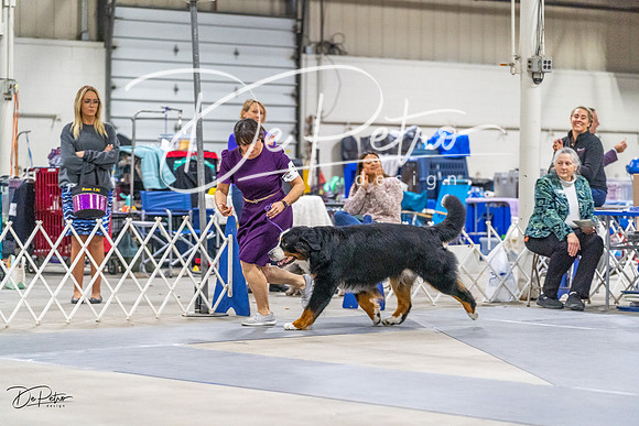 20230304-DSC01529