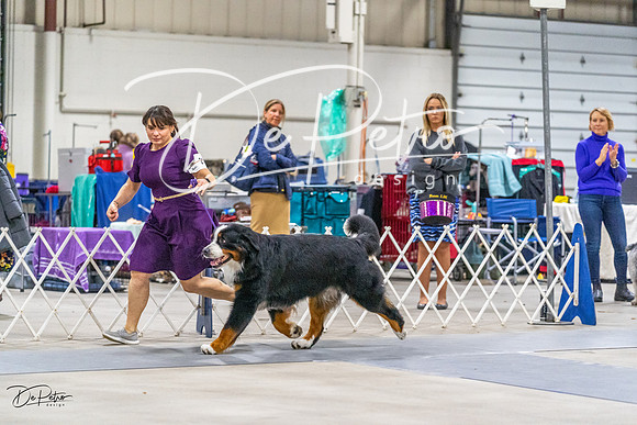 20230304-DSC01538