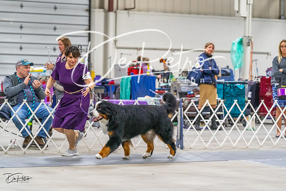 20230304-DSC01542