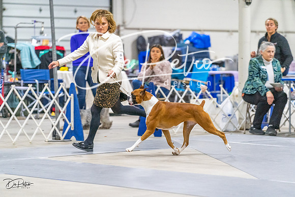 20230304-DSC01551