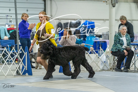 20230304-DSC01592