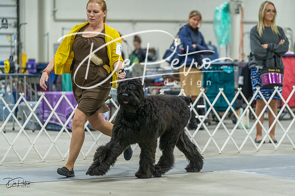 20230304-DSC01600